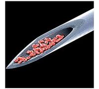 Gabriel, Peter - Live Blood