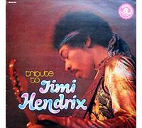 Live Experience Band, The - Tribute To Jimi Hendrix - Perl Serie - PSLP 190