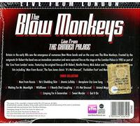 Live From London by BLOW MONKEYS [Audio CD] NEUF