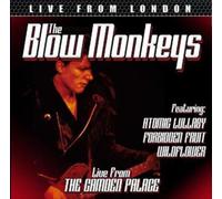 Live From London by BLOW MONKEYS [Audio CD] NEUF