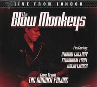 The Blow Monkeys – Live from the Camden Palace – CD