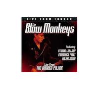 Live from The Camden Palace