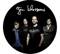 Gin Blossoms - Live in Concert