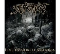 Live in North America