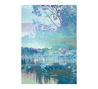 Live Is Smile Always - Eve & Birth - "The Birth" At Nippon Budokan DVD DVD