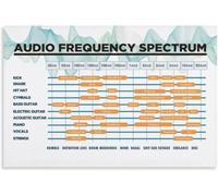 Live Sound Tech Poster Feedback Frequency Elimination Monitor Placement | Identify ringing frequencies causing feedback loops during live performance setup(Framed,16X24inch(40X60cm))