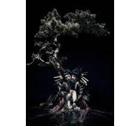 The gazette live tour 12 13 di E