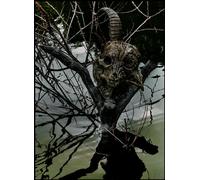 Live Tour 13-14 [Magnificent M [Import allemand]