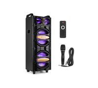 Fenton Enceinte de soirée LIVE2102 Bluetooth 800 W LEDs RGB Micro inclus 2x 10 pouces Lecteur MP3