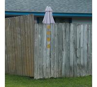 Lived Here for a While - Vinyle Rose
