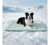 LiveGo Tapis rafraîchissant pour chien, lit pour chat - Lit réversible chaud et rafraîchissant - Tapis d'hiver chaud et rafraîchissant en été pour chatons et petits chiens (vert, taille XL (150 x 101
