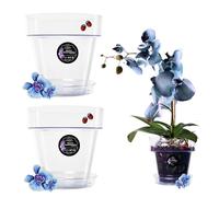 LiveLaif 2 Pot Orchidée Transparent Ø15 cm + Soucoupe Pot Fleur | Pot Transparent Orchidée avec Drainage | Pot pour Orchidées en Plastique Transparent | Pot Transparent Plante | Pot de Rempotage