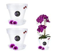 LiveLaif® 2 Pot Orchidée Transparent Translucide Ø15 cm avec Soucoupe et Trous de Drainage - Pot Transparent pour Orchidées et Plantes - Design Moderne et Élégant