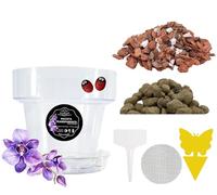 LiveLaif® Kit de Transplantation d'orchidées : 1 Pot (Crochets et Assiette) + substrat écorce de pin sélecte (avec Perlite et Vermiculite), Argile expansée + Filet + étiquette (Ø20-Transparent)
