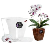 LiveLaif® Pot Orchidée Transparent 14x14x15cm + Soucoupe Pot Fleur | Pot Transparent Orchidée avec Drainage | Pot pour Orchidées en Plastique Transparent | Pot Transparent Plante | Pot de Rempotage