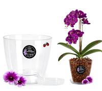 LiveLaif Pot Orchidée Transparent Ø16,5 cm + Soucoupe + Trous de Drainag | Pot Transparent Orchidée | Pot pour Orchidées en Plastique Transparent | Pot Transparent Plante | Pot de Rempotage