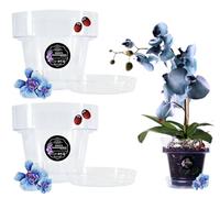 LiveLaif® - Pot Orchidée Transparent + avec Soucoupe Assortie | Au Choix : Taille et Unités | Pot Transparent Orchidée (2, ⊘20cm)