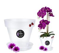 LiveLaif® Pot Orchidée Transparent Translucide Ø17 cm avec Soucoupe et Trous de Drainage - Pot Transparent pour Orchidées et Plantes - Design Moderne et Élégant