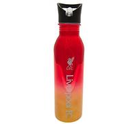 Liverpool F.C. Bouteille de Sport en Acier Inoxydable avec revêtement UV, Rouge/doré 700 ML