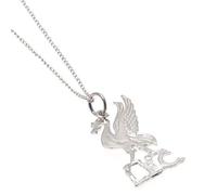 Liverpool F.C. Pendentif et chaîne en Argent Sterling Motif équipe de Football
