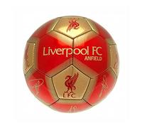 Liverpool FC Anfield Skill Ball Signature
