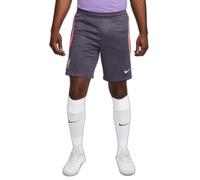 Liverpool Fc Nike Shorts Hose Anthracite Dry Strike Training 2023 24