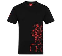 Liverpool FC Officiel - T-Shirt thème Football - Motif Graphique - Homme - Noir/Logo sur la Manche - XL