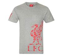 Liverpool FC Officiel - T-Shirt thème Football - Motif Graphique - pour Enfant - Gris - 8-9 Ans