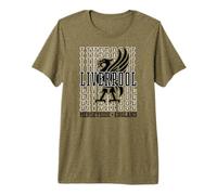 Liverpool, Merseyside, Angleterre, Liver Bird Echo 3 T-Shirt Haut de Gamme