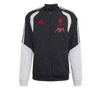 adidas Liverpool Veste Pre-Match 26/27 Noir/Gris L