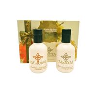 LIVEtheOLIVE | Huile d'olive parfumée - Coffret condiments agrumes 2 x 250 ml