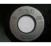 Livin' in The Light (Brixton Bass Mix) [Import]