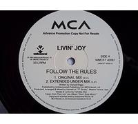 LIVIN JOY - FOLLOW THE RULES 12" SINGLE UK MCA 1996