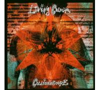 Living Colour - Collideoscope