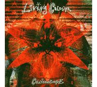 Living Colour - Duald-Collideoscope =dual
