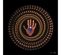 Living in The Material World