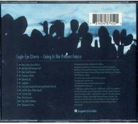 Living In The Present Future