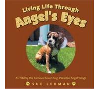 Living Life Through Angels Eyes by Sue Lehman Sue Lehman (Auteur)