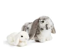 Living Nature AN499 Lot de Cadeaux pour Le Lapin Gris et bébé Lapin hollandais, Blanc, Taille Unique