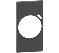 LIVING NOW Plaque Prises 2P+Z + USB 2mod. noir KG62
