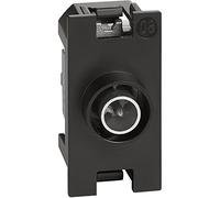 Living Now Prise TV directe 1 module