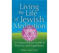 Living the Life of Jewish Meditation by Rabbi Yoel Rabbi Yoel Glick Glick Rabbi Yoel Rabbi Yoel Glick Glick (Auteur)