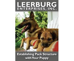 Living with Your Puppy And Establishing Pack Structure