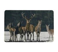 LivingActive Paillasson neige harde de cerfs 75x50 cm