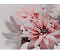 Livingwalls Blumentapete 382701 Papier peint intissé Motif fleurs romantiques Rose et blanc 3,71 x 2,80 m Fabriqué en Allemagne