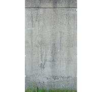 Livingwalls Papier peint mural en béton Gris 2,80 m x 1,59 m
