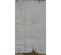 Livingwalls Papier peint mural en béton Motif floral Gris 2,80 m x 1,59 m