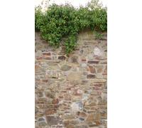 Livingwalls Papier peint mural en pierre Beige Motif cercles sur 2,80 m x 1,59 m