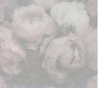 Livingwalls Rosentapete New Walls florale Tapete Romantic Dream Vliestapete rosa grau weiß 10,05 m x 0,53 m