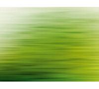 Livingwalls WTD 382611 The Wall Papier peint photo Vert 2,8 x 3,71 m
